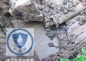 宁安水管漏水检测公司5
